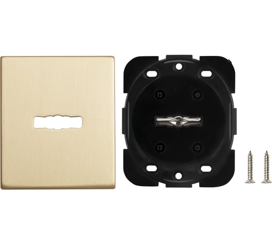 Накладка на сувальдный замок ARMADILLO ESC.S-auto.USS/K (PS Protector/USS) FSG флорентийское золото 48131