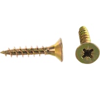 Саморез Госкреп ШУЖ 5,0х25, 200 шт. пл.конт 280 мл 1-0028100