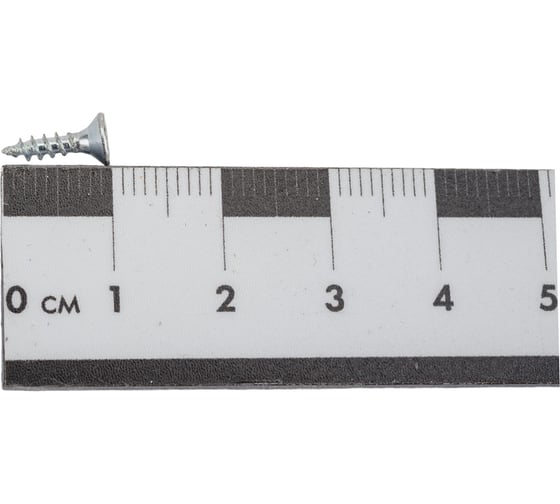Саморез Госкреп ШУЦ 2,5х10 (25 шт) 1-0032480
