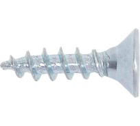 Саморез Госкреп ШУЦ 5,0х20 (16 шт) 1-0033070