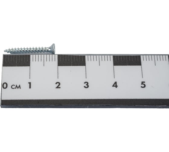 Саморез Госкреп ШУЦ 2,5х20 (25 шт) 1-0032520