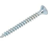 Саморез Госкреп ШУЦ 2,5х25 (25 шт) 1-0032540