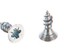 Саморез Госкреп ШУЦ 3,0х10, 20 шт. 1-0032560