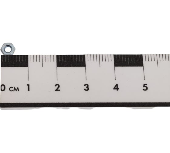 Гайка Insparion DIN 934, класс прочности 6.0., оцинкованная, M2.5, 100 шт. С1-00001773