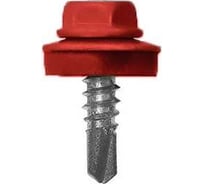 Саморез HAUPT 5.5х19 мм, крашеный, в упаковке 250 шт., коррида (RAL 3009) 4673729051231