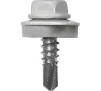 Саморез HAUPT 5.5х19 мм, крашеный, в упаковке 250 шт., серо-белый (RAL 9002) 4673729051309