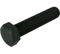 Болт ЦКИ DIN933 М10x45 12.9 оксидированный, SW 17 10 шт. 40736