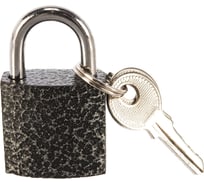 Навесной замок Trodos полимер BC-HG36-25 Blister 210041