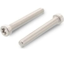Винт ЦКИ ISO14580 М4x12 A2 TX 20 200 шт. 54735
