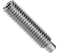 Винт ЦКИ установочный, DIN915 М12x40 A2 HEX 6.0 25 шт. 45062