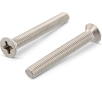 Винт Metiz-A2, DIN 965M6x25 мм, А2, нержавеющий с потайной гол., крестообразный шлиц, 50 шт. 9652625 50
