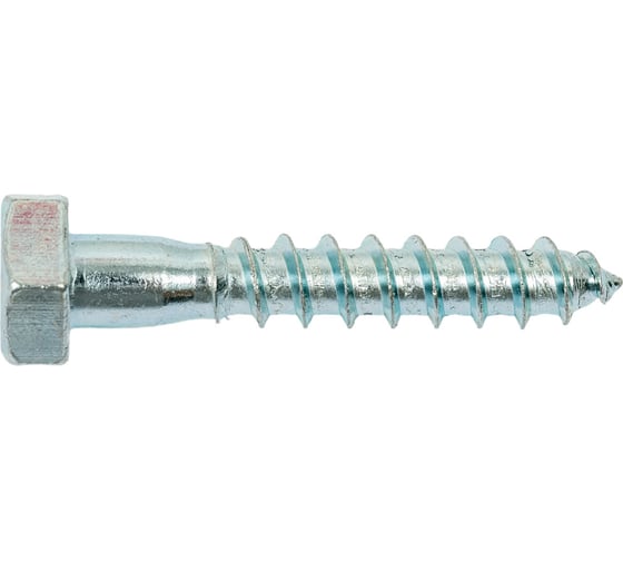 Сантехнический шуруп Госкреп 10х60, 2 шт. 3-0011740