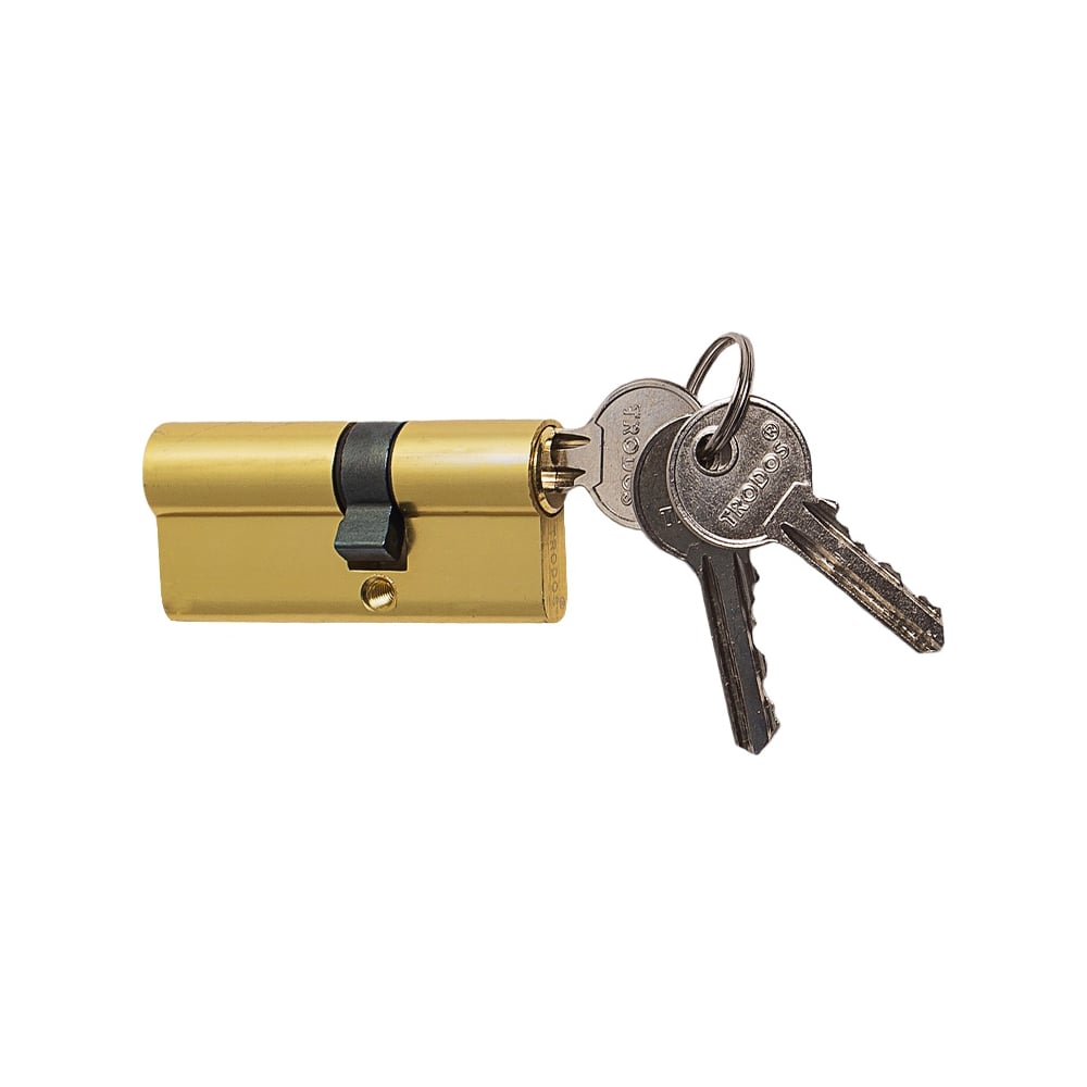 Алюминиевый цилиндр Trodos ЦМ 70, 30/40-3K PB золото 208068 - выгодная ...