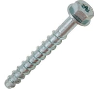 Шуруп по бетону ЕВРОПАРТНЕР HEX/TX40 ZN 10x120 2 шт 11 0215 2