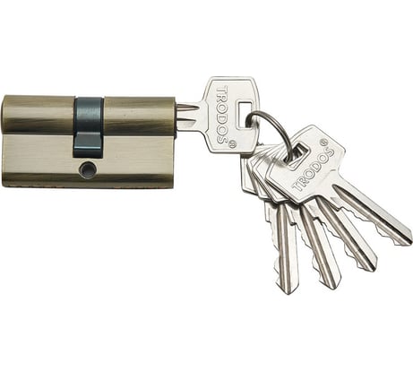 Цилиндр Trodos ЦАМ ЦМ 60-5K AB бронза 208083