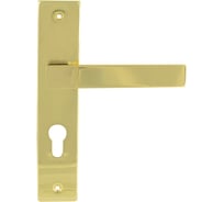 Дверная ручка на планке НОРА-М NEW 109-62 мм золото 17010