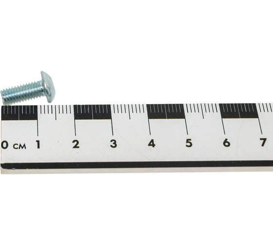 Винт Белмаш М5х12 мм, ГОСТ 28963-91, ISO 7380, 10 шт. B.M5.12.4810