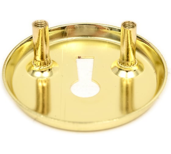 Щиток под ключ SCHLOSS 02008 золото, 50 мм (25/250) тов-123605