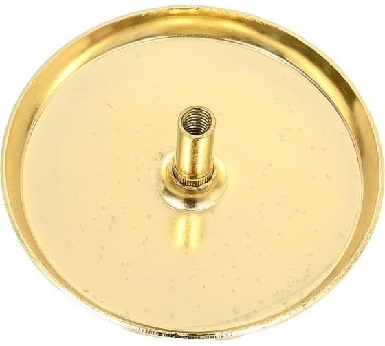 Щиток глухой SCHLOSS 02005 золото, 50 мм (25/250) тов-123602