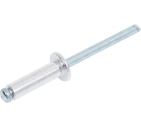 Заклепка вытяжная комбинированная (1000 шт; 4.8х16 мм) SWFS тов-016974