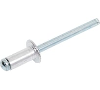 Заклепка вытяжная комбинированная (1000 шт; 4.8х10 мм) SWFS тов-016966