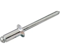 Заклепка вытяжная (500 шт; 4х20 мм) Метизный двор 4690441026934