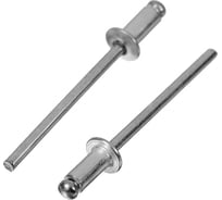 Заклепки вытяжные комбинированные Al/St (4.8x18 мм; 500 шт) Аксимет 0016