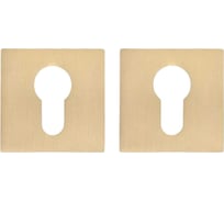 Декоративная накладка ABRISS ET 2101 SSG Сатинированное золото 30102