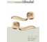 Дверные ручки ADDEN BAU TAIL A119 GOLD 940000000534 3