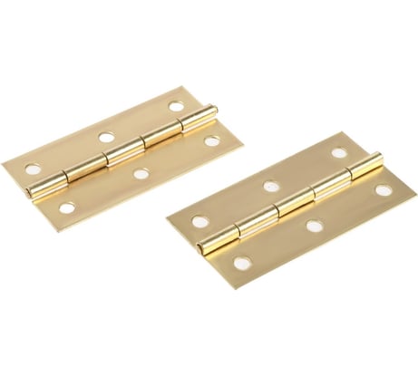 Петля накладная ТУНДРА 73x38x1 мм, цвет золото, 2 шт. 9903995