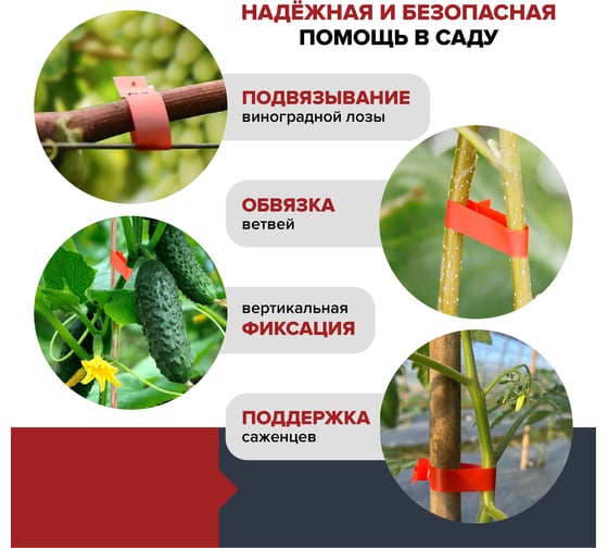 Скобы для тапенера Fachmann 05.144/001