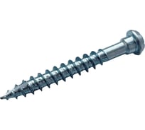 Саморез для перфорированного крепежа HIMTEX оцинк, спец форма, тип17, ТХ20 5*50 (250 шт) 5050BSC