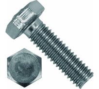 Болт Партнер DIN 933, М16x65 ZN с шестигранной головкой, 8.8, 25 шт. ФАС C 00027757 25