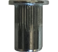 Заклепка гаечная стальная борт M10 250 шт Аксимет 1005