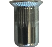 Заклепка гаечная стальная потайной борт М10 250 шт Аксимет 1015