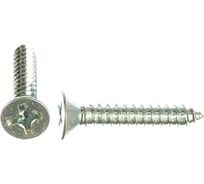 Саморез ЦКИ din7982 5.5х32 остроконечный ц 500шт. 4573