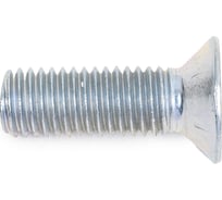 Винт ЦКИ DIN965 М10х30, цинк, аналог ГОСТ 17475-80 25 шт. 36836