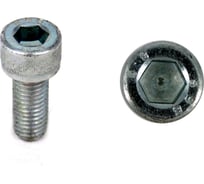 Винт ЦКИ DIN912 М2.5х5 A2 HEX 2.0 100 шт. 28087