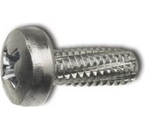 Винт ЦКИ резьбонарезающий, DIN7516A М3х6, цинк, Ph 1 250 шт. 18155