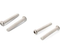 Винт ЦКИ ISO7380 М3х10 A2 HEX 2 250 шт. 24464