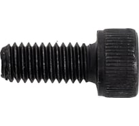 Винт ЦКИ DIN912 М6х14 12.9, оксидированный, HEX 5.0 100 шт. 5056307