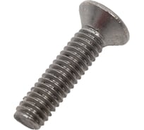 Винт ЦКИ DIN965 М2.5х10 A2 Ph 1 100 шт. 23613