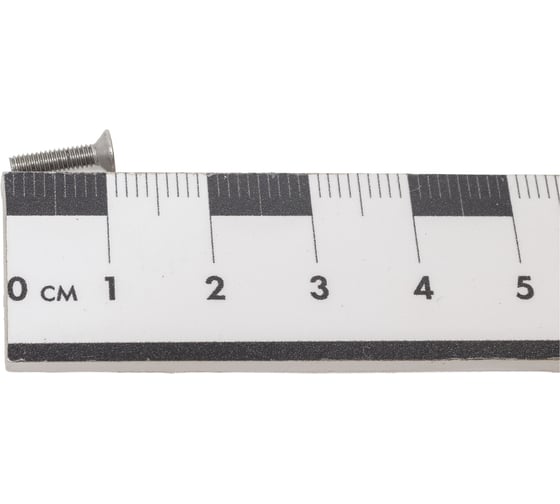 Винт ЦКИ DIN965 М2.5х10 A2 Ph 1 100 шт. 23613