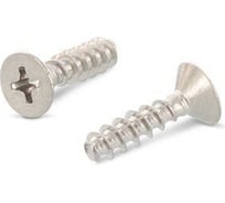 Саморез для пластика ЦКИ скругленный, притупленный, ART.9091 4х14 A2 Ph 2.0 100 шт. 55222