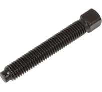 Винт установочный ЦКИ DIN 479, М10х60 8.8, Б/П, S10, 2 шт. 74830