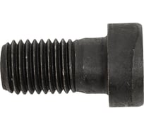 Винт ЦКИ DIN6912, М16х30 10.9, оксид, 2 шт. 4815107