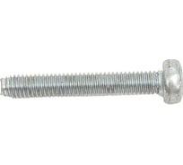 Винт ЦКИ резьбовыдавливающий, DIN 7500C М3х20 цинк, TX10, 40 шт. 6821507