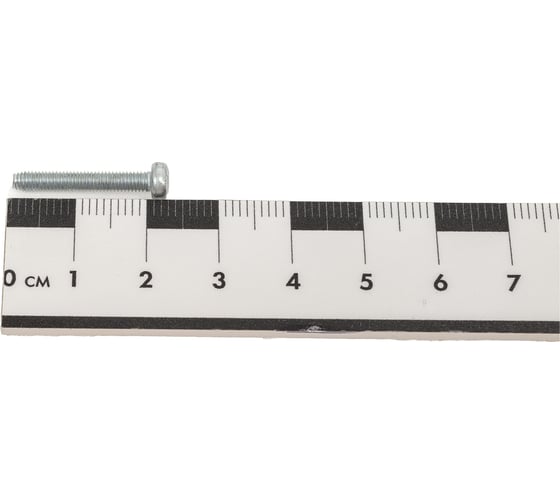 Винт ЦКИ резьбовыдавливающий, DIN 7500C М3х20 цинк, TX10, 40 шт. 6821507