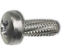 Винт ЦКИ резьбонарезающий, DIN 7516A, М4х12 цинк, Ph2, 100 шт. 6833007