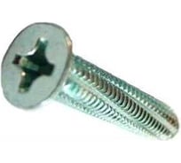 Винт ЦКИ резьбонарезающий, DIN 7516D, М4х25 цинк, Ph2, 100 шт. 4303907